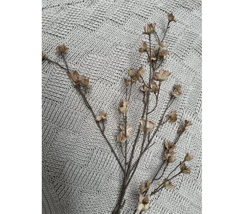 Brynxz grande Cornus old brown 110 cm