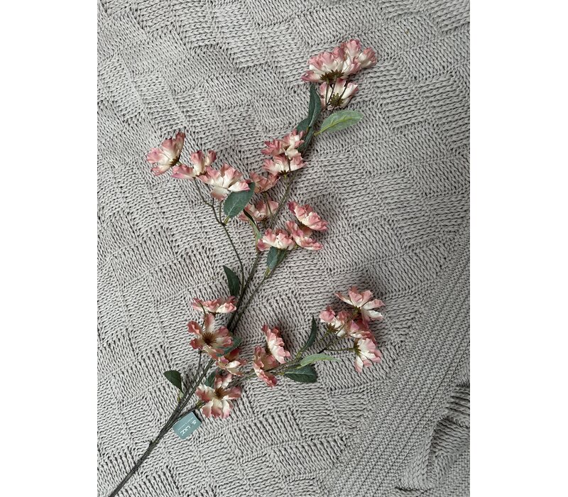 Brynxz grande Cornus old pink 100 cm