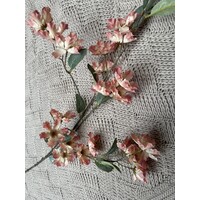 Brynxz grande cornus Old pink 100cm