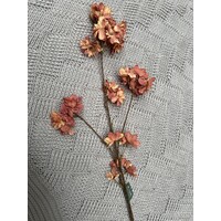 Brynxz prunus sakura Orange 80cm