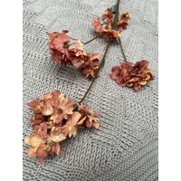 Brynxz prunus sakura Orange 80cm