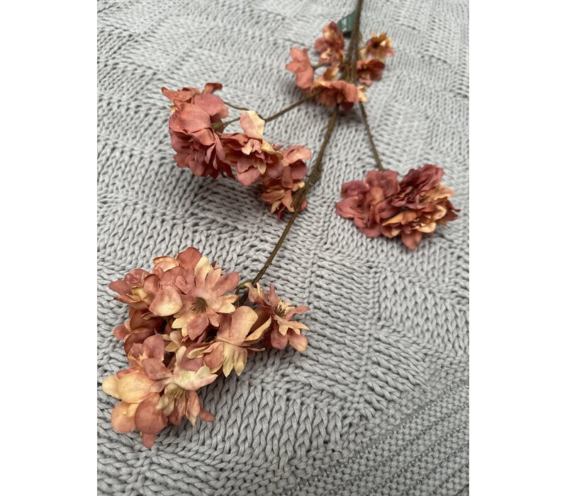 Brynxz Prunus sakura orange 80 cm