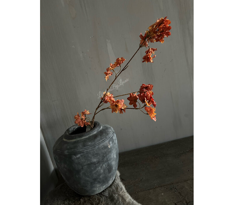 Brynxz Prunus sakura orange 80 cm