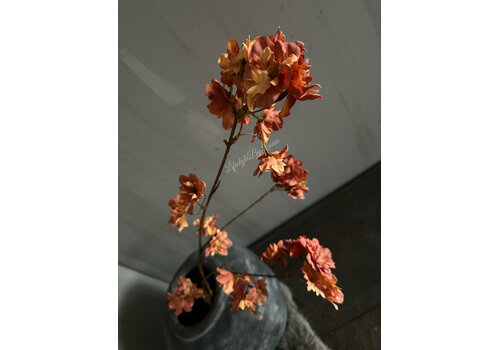 Brynxz Brynxz prunus sakura Orange 80cm