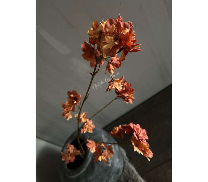 Brynxz Prunus sakura orange 80 cm