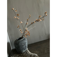 Brynxz grande Cornus old brown 110 cm