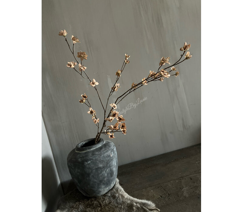 Brynxz grande Cornus old brown 110 cm