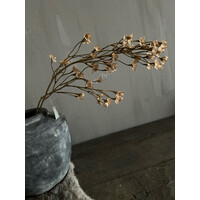 Brynxz cornus Old brown 92cm