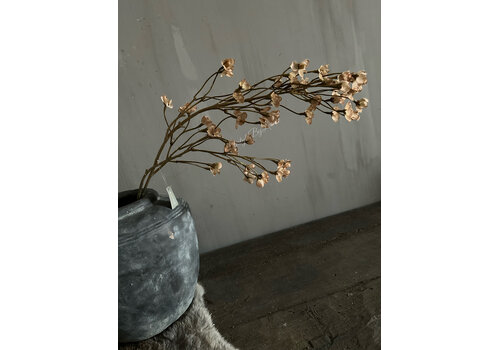 Brynxz Brynxz cornus Old brown 92cm