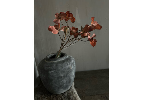 Brynxz Brynxz namaak cornus kousa Copper 75cm