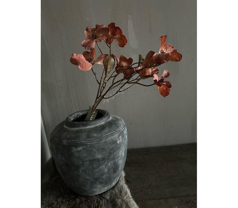 Brynxz namaak Cornus kousa copper 75 cm