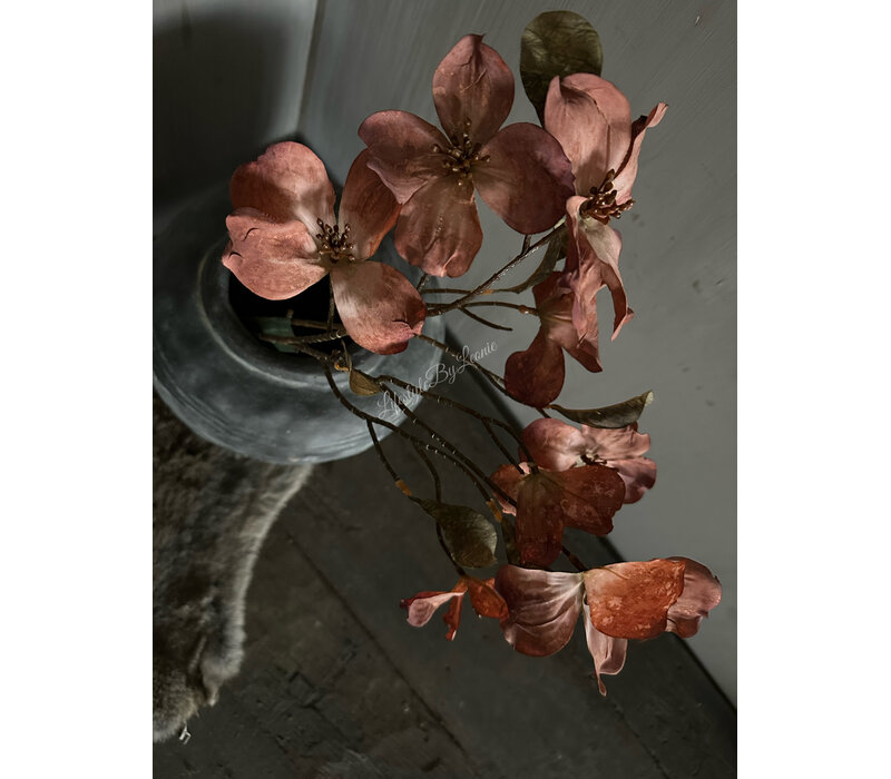 Brynxz namaak Cornus kousa copper 75 cm