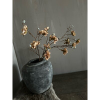 Brynxz Azalea tak old brown 83 cm