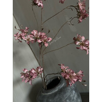 Brynxz grande prunus Aubergine 120cm