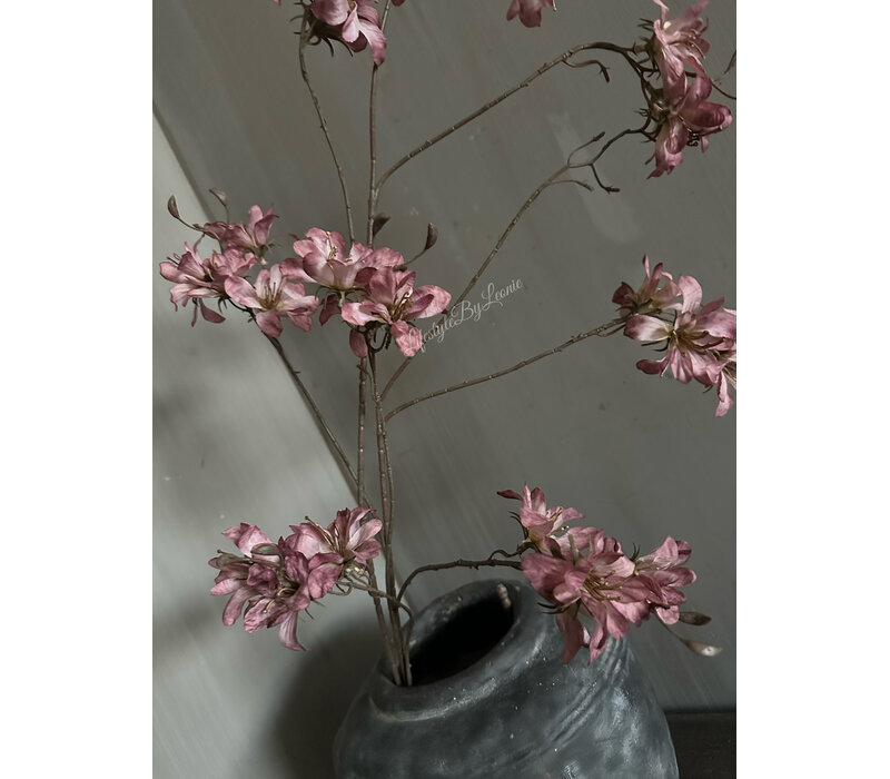 Brynxz grande Prunus aubergine 120 cm