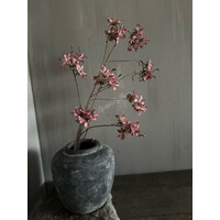 Brynxz grande prunus Aubergine 120cm