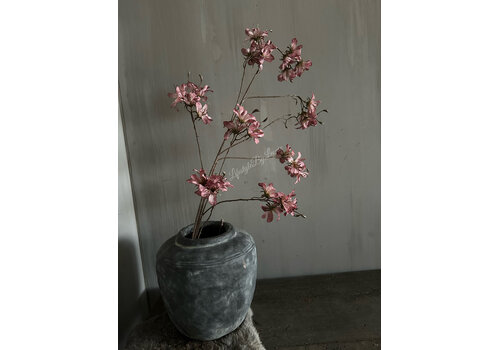 Brynxz Brynxz grande prunus Aubergine 120cm