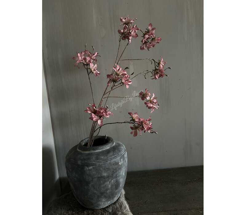 Brynxz grande prunus Aubergine 120cm