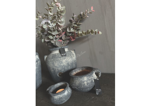 Brynxz Brynxz Eucalyptus bush red/green 50 cm