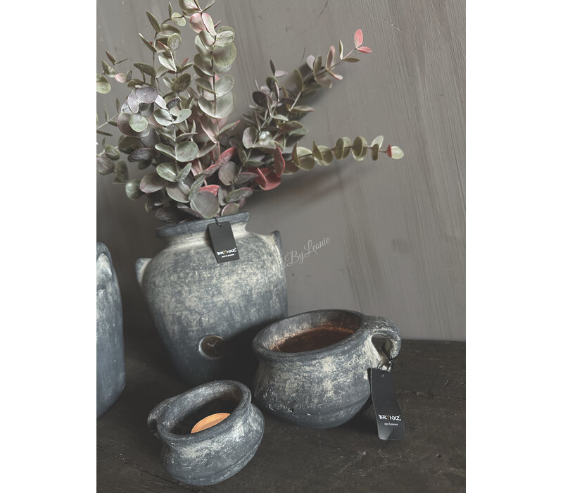 Brynxz Eucalyptus bush red/green 50 cm