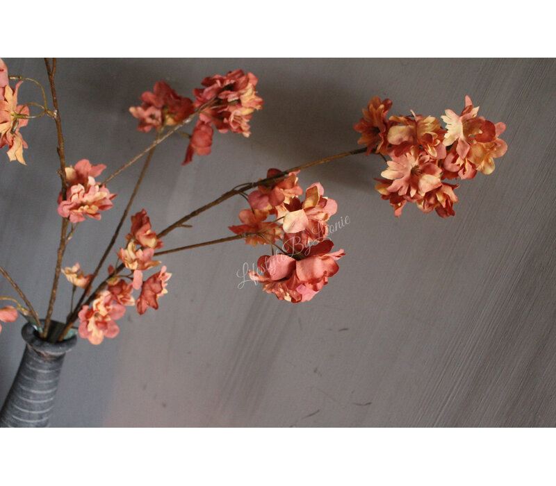 Brynxz Prunus sakura orange 80 cm