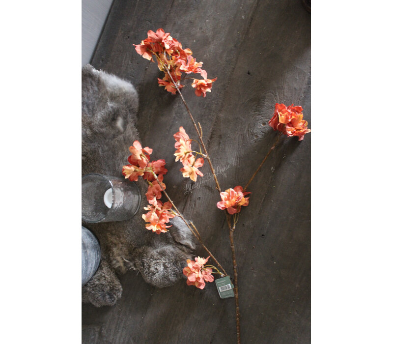 Brynxz Prunus sakura orange 80 cm