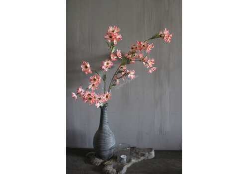 Brynxz Brynxz grande Cornus old pink 100 cm