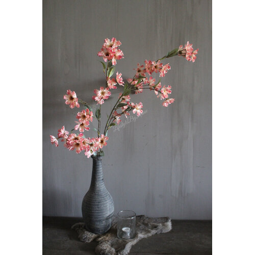 Brynxz grande Cornus old pink 100 cm 