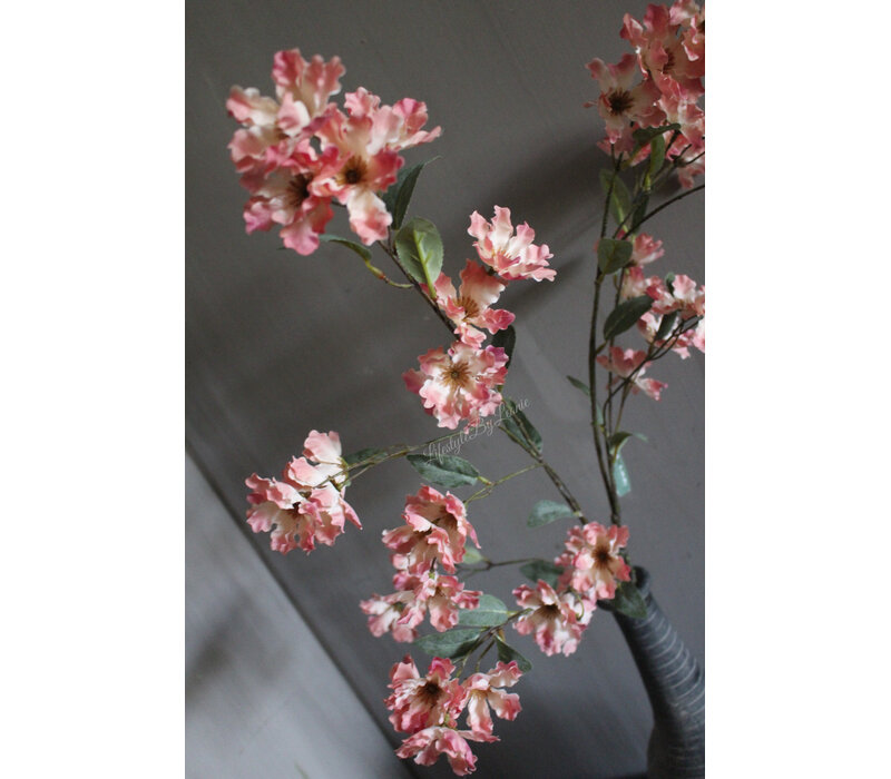 Brynxz grande Cornus old pink 100 cm