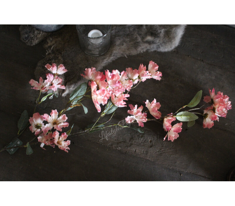 Brynxz grande Cornus old pink 100 cm