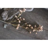 Brynxz Cornus old brown 92 cm