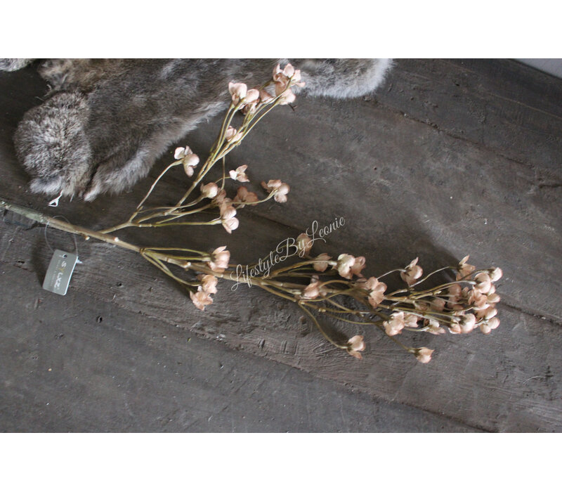 Brynxz Cornus old brown 92 cm