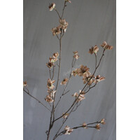 Brynxz grande Cornus old brown 110 cm