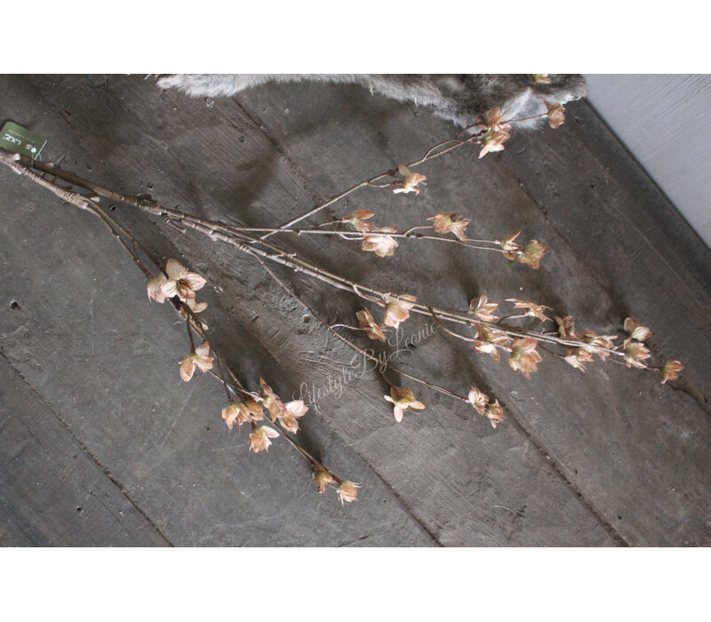 Brynxz grande Cornus old brown 110 cm