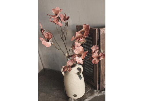 Brynxz Brynxz namaak Cornus kousa copper 75 cm