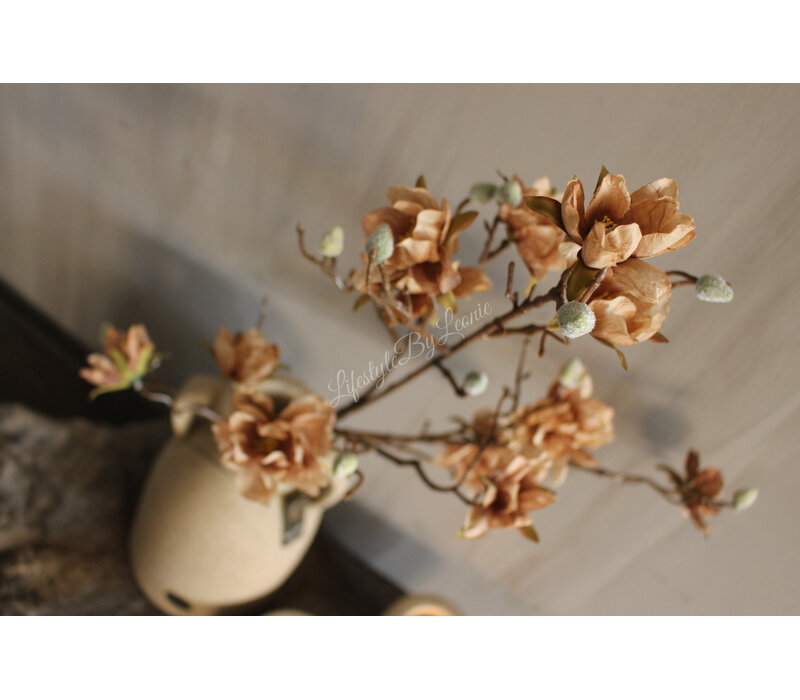 Brynxz Azalea tak old brown 83 cm