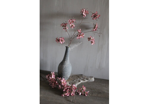 Brynxz Brynxz grande Prunus aubergine 120 cm