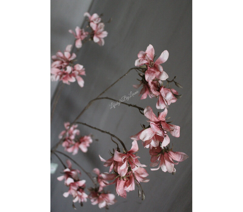 Brynxz grande Prunus aubergine 120 cm