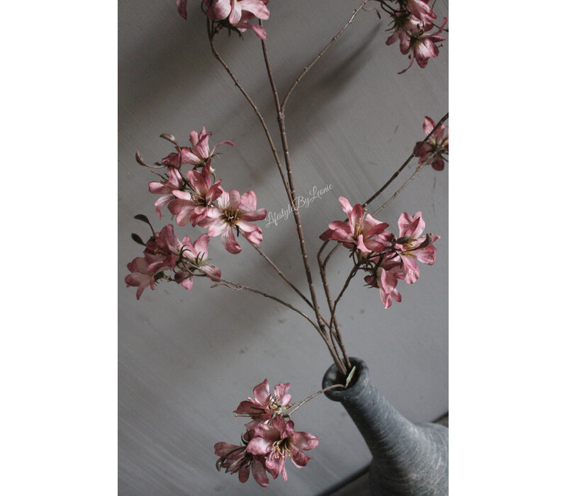 Brynxz grande Prunus aubergine 120 cm