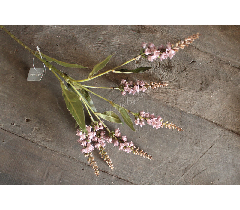 Brynxz Lelietje van dalen purple 50 cm