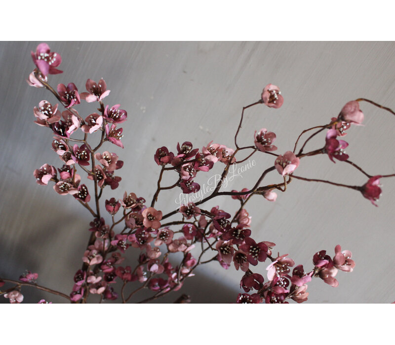 Brynxz grande Prunus old pink/purple 130 cm