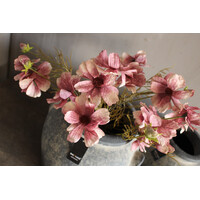 Brynxz Cosmos old pink 50 cm