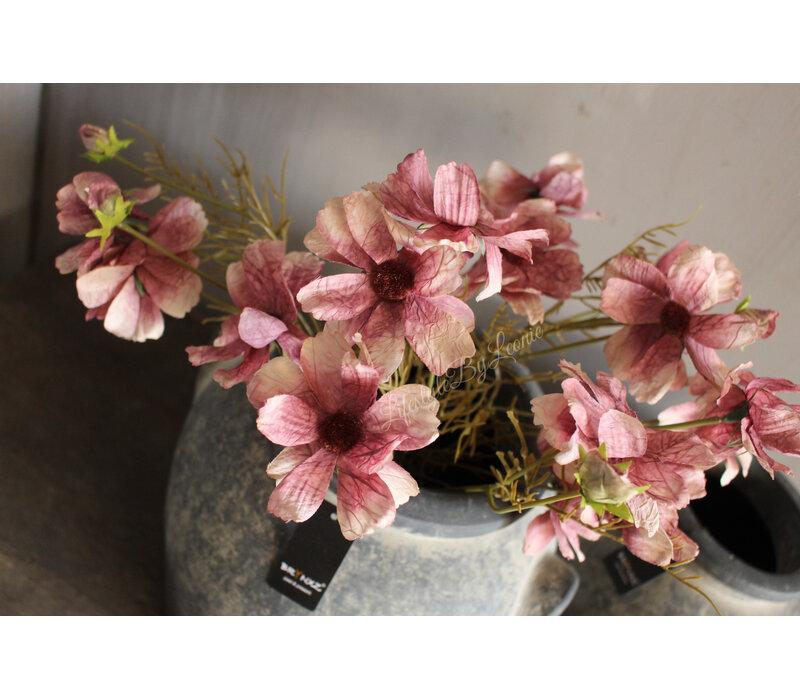 Brynxz Cosmos old pink 50 cm