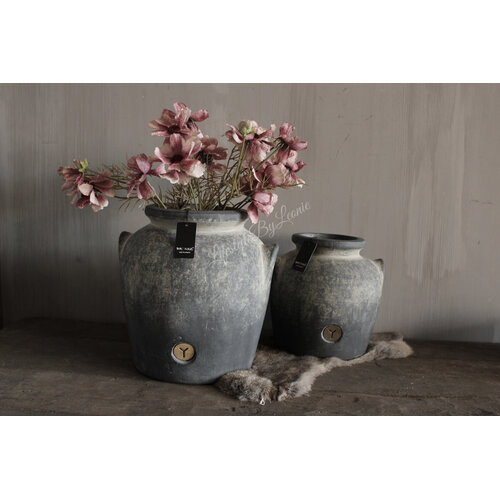 Brynxz Cosmos old pink 50 cm 