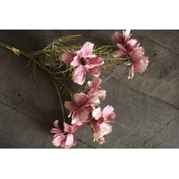 Brynxz Cosmos old pink 50 cm