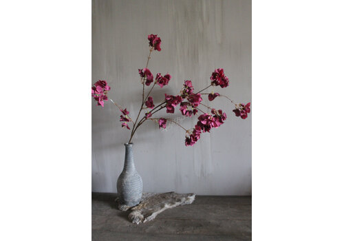 Brynxz Brynxz grande Bouganvillea burgundy 130 cm