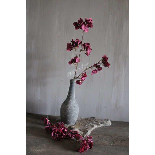 Brynxz Bouganvillea burgundy 85 cm 