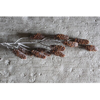 Namaak tak met dennenappels Brown 73cm