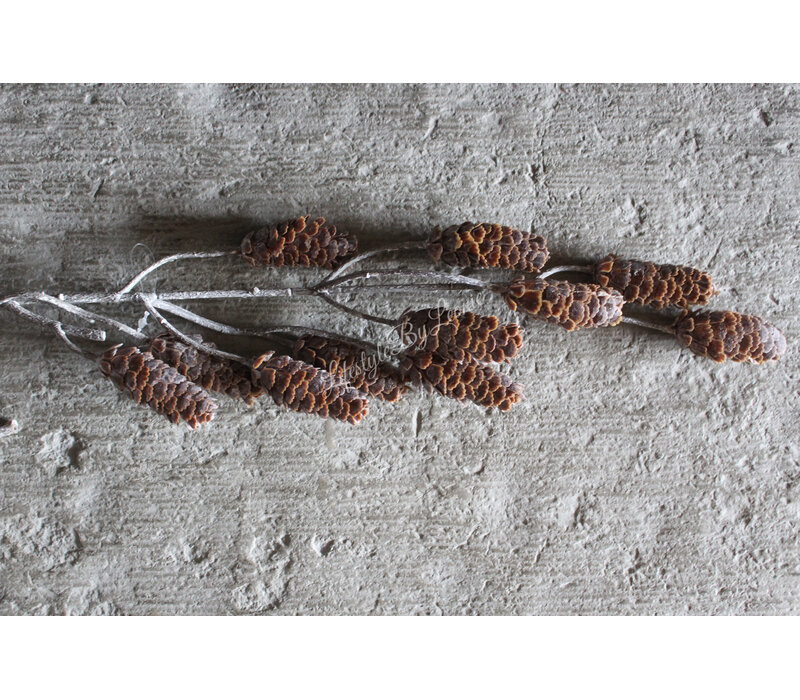 Namaak tak met dennenappels Brown 73cm