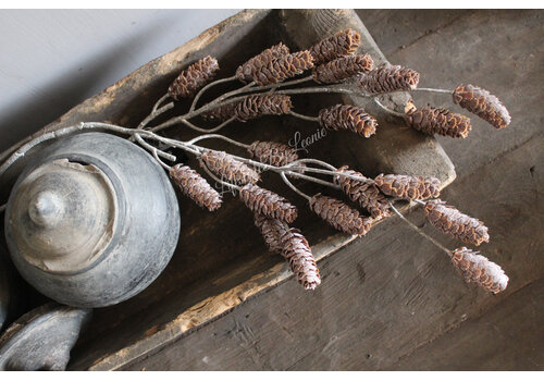 Namaak tak met dennenappels Brown 73 cm